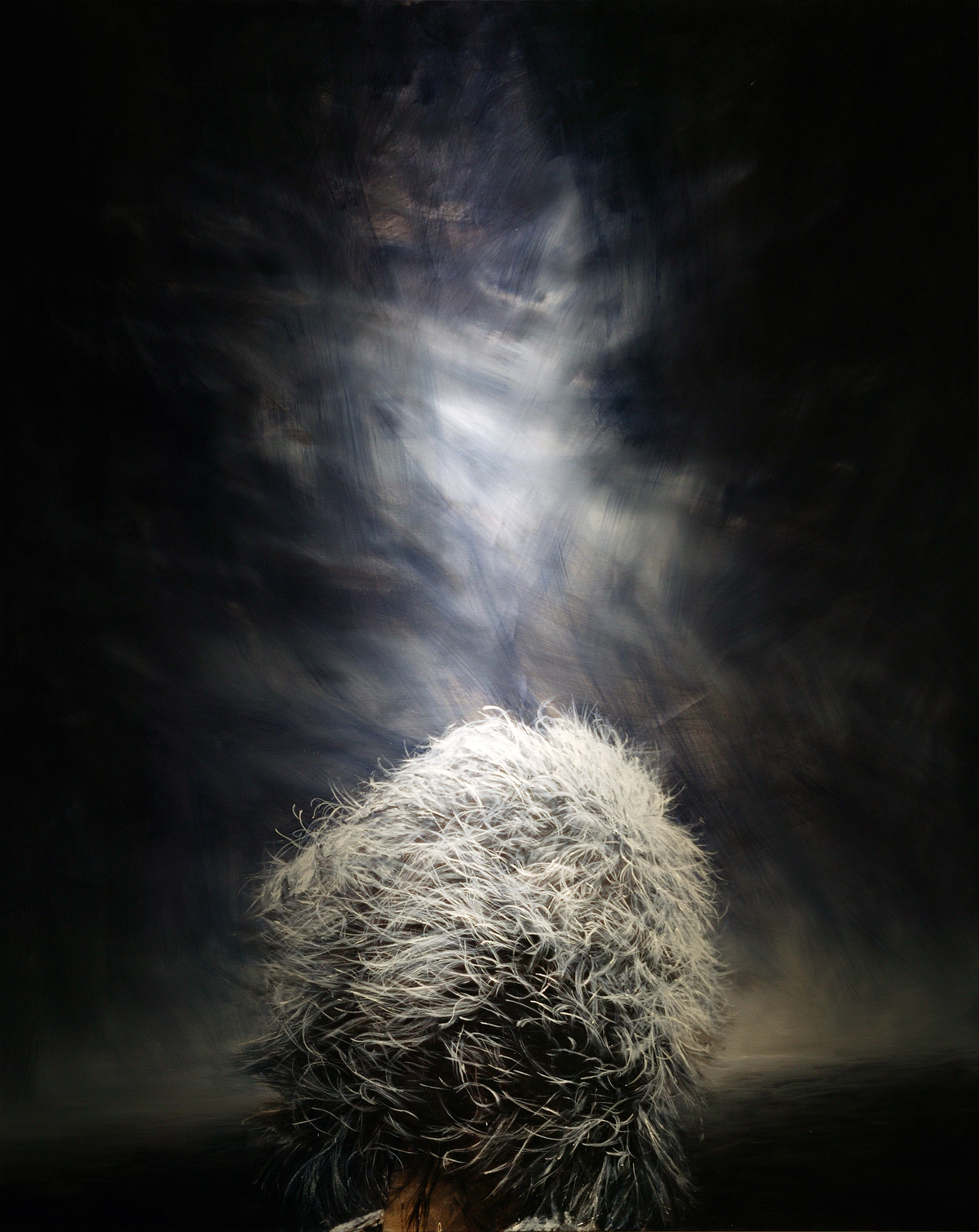 흰머리, 2013