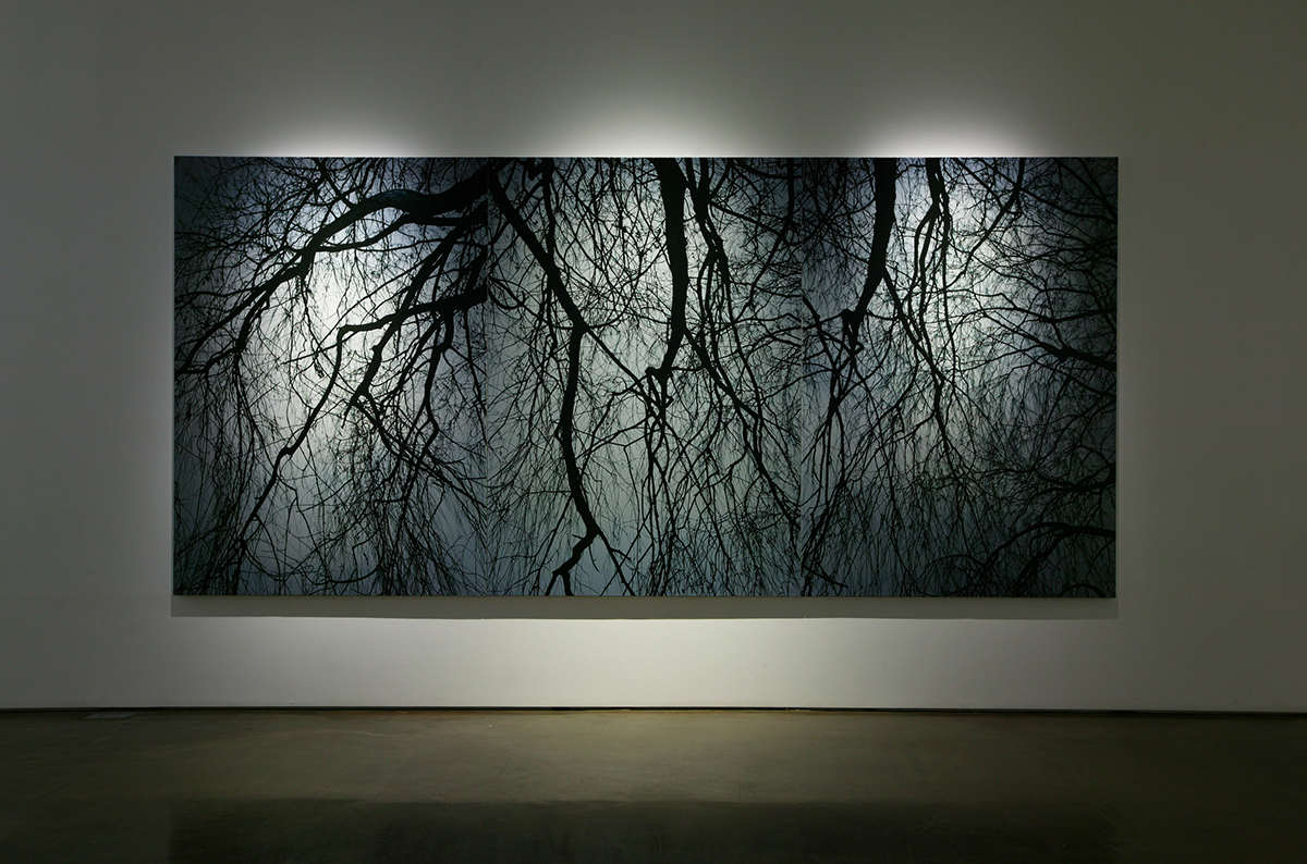 버드나무 (Installation View), 2015