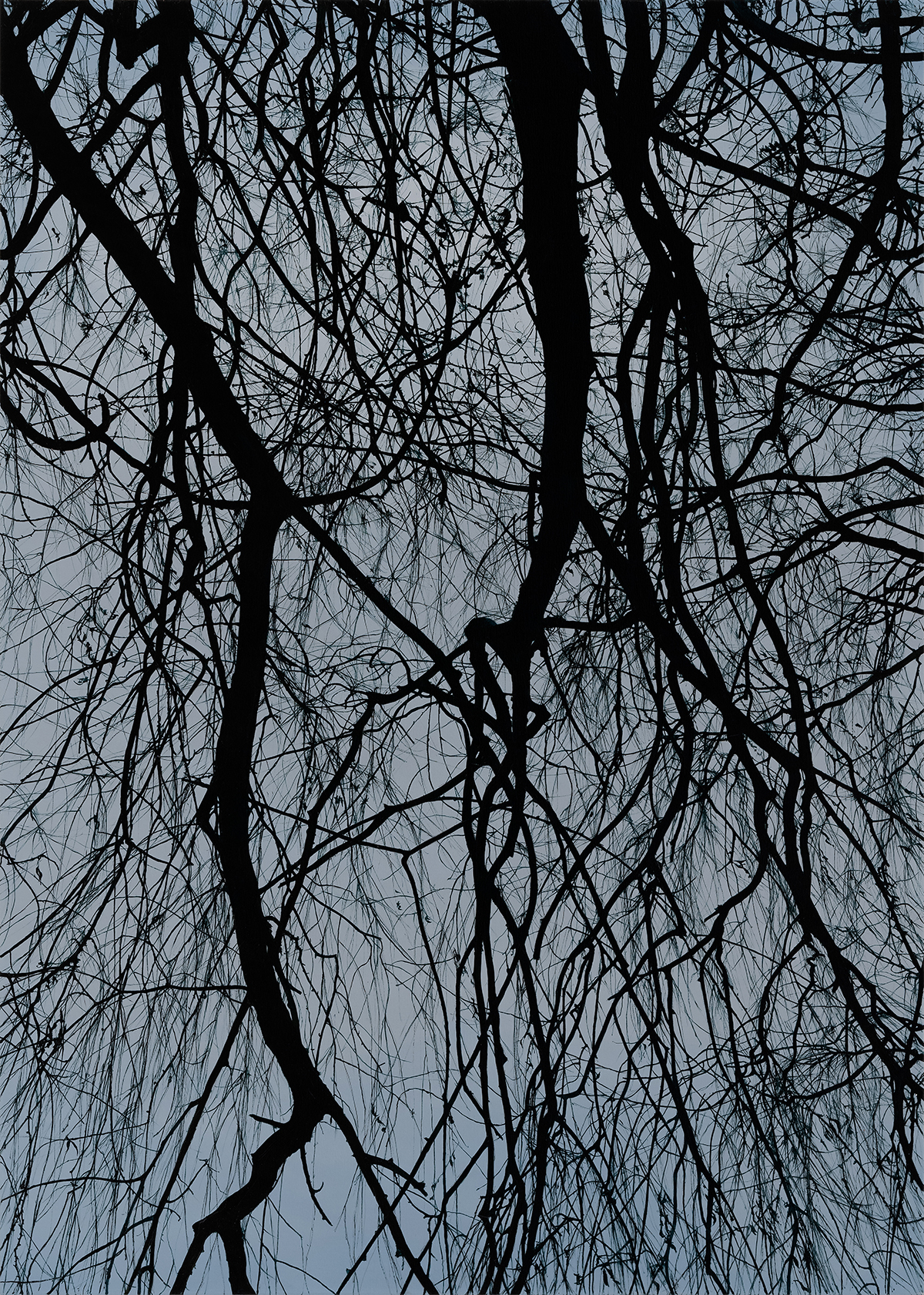버드나무2, 2015