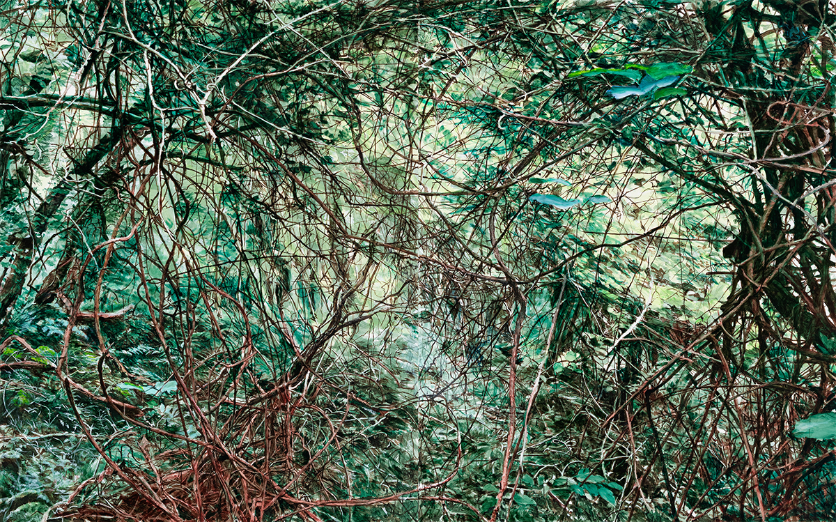 덩굴, 2019