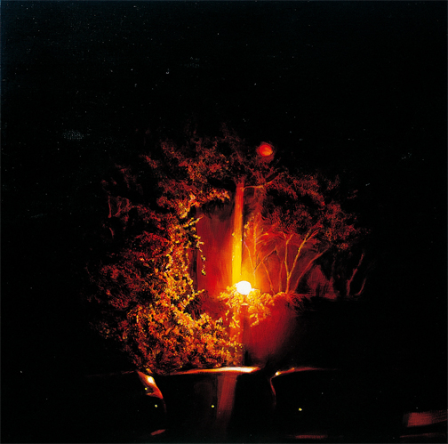나무 A Tree — Oil on Canvas, 2004
