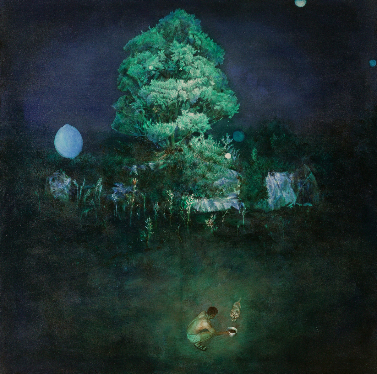 개 밥주는 남자, 2008