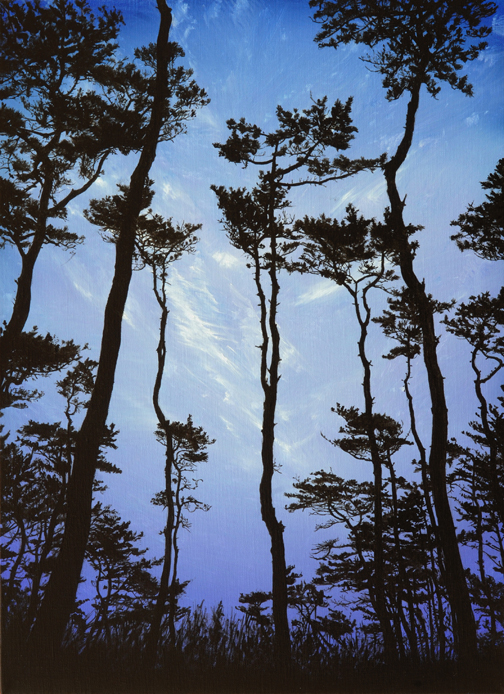 소나무숲2 Pine Tree Forest — Oil on Canvas, 2009