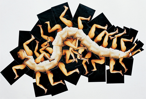 Drawing for Polypod — 종이에 포토콜라주, 1997
