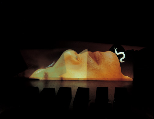 A Worm on My Face — 10 Hand-Made Slide Projector, Two Kodak Slide Projector, Timer, 1997