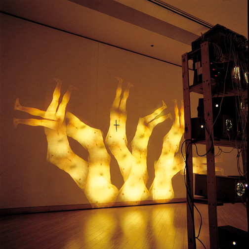 Trees — 24 Hand-Made Slide Projector, Timer, 1998